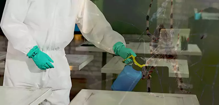 Why Buyers Still Want Homes With Pest Infestations in Plano, TX?