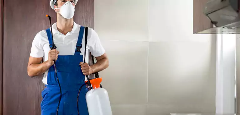 Why Plano Homeowners Choose Us When Pests Make Selling Difficult