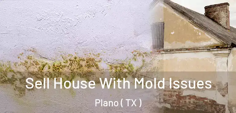  Sell House With Mold Issues Plano ( TX )